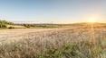 Toscana Immobiliare - Gli interni del casale hanno un raffinato stile toscano e presentano travi a vista e pavimento in cotto