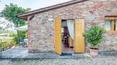 Toscana Immobiliare -  La propriété se compose d'une ferme en pierre, de 2 annexes en pierre, d'une piscine et de 23 ha de terrain