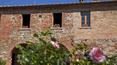 Toscana Immobiliare - All'esterno, dei pergolati permettono di rilassarsi e godere del curatissimo giardino e della zona piscina