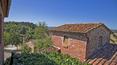 Toscana Immobiliare - The property consists of a stone farmhouse, 2 stone annexes, a swimming pool and 23 ha of land