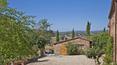 Toscana Immobiliare - The garden has a wonderful rose garden and fruit trees, as well as a swimming pool