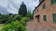 Toscana Immobiliare -  La proprietà è circondata da circa un ettaro di terreno con circa 220 piante di olivo