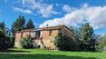 Toscana Immobiliare - The property, surrounded by 7 ha of land, consists of the main farmhouse, an annex and a large shed