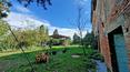 Toscana Immobiliare - Ferme toscane avec annexes et terrain à Valdichiana