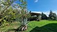 Toscana Immobiliare - Ferme en pierre avec annexes et 7 ha de terrain à vendre à Foiano della Chiana, Toscane