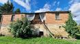 Toscana Immobiliare - Il terreno di 7,2 ettari è suddiviso in vigneto e seminativo con 150 olivi in produzione