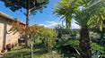 Toscana Immobiliare - Propriété de luxe avec une ferme, plusieurs pergolas, une piscine, une petite maison en bois, un garage et 33 ha de terrain