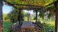 Toscana Immobiliare - The property is completed by a garden, various pergolas with creepers and flowering plants, as well as a pool