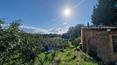 Toscana Immobiliare - The property offers beautiful panoramic views over the surrounding countryside and Lake Trasimeno