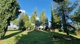 Toscana Immobiliare - The 33 hectares of land include 2 hectares of vineyards, an olive grove with approximately 1,000 trees and woodland