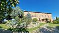 Toscana Immobiliare -  Il terreno di 33 ettari comprende 2 ettari di vigneto, oliveto con circa 1000 piante e bosco