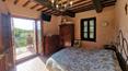 Toscana Immobiliare - Das Anwesen besteht aus einem Herrenhaus, einer Pergola, einem Swimmingpool, einem kleinen Holzhaus und einer Garage