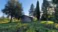 Toscana Immobiliare -  Ferme immergée dans la campagne luxuriante de Città della Pieve et entourée d'environ 8 hectares de terrain