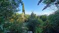Toscana Immobiliare - El cortijo tiene una superficie aproximada de 280 m2 distribuidos en 2 plantas