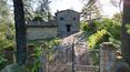 Toscana Immobiliare - Casale ristrutturato in vendita a Città della Pieve, in Umbria