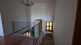 Toscana Immobiliare - Villas y cortijos en venta en Umbria