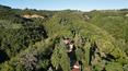 Toscana Immobiliare - Casale immerso nella lussureggiante campagna di Città della Pieve e circondato da circa 8 ettari di terreno