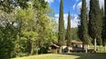Toscana Immobiliare - La propiedad está situada en una ladera toscana entre el valle del Casentino y el Parque Nacional de los Bosques del Casentino
