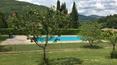 Toscana Immobiliare - Propriété typiquement toscane à vendre à Casentino, province d'Arezzo