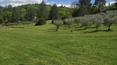 Toscana Immobiliare - La propriété, entièrement restaurée, se compose de trois unités indépendantes et de 18 ha de terres certifiées biologiques