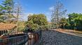 Toscana Immobiliare -