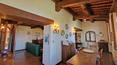 Toscana Immobiliare -