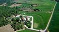 Toscana Immobiliare - Winery with accommodation business for sale in Valdichiana Arezzo Tuscany