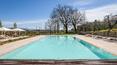 Toscana Immobiliare - Winery with accommodation business for sale in Valdichiana Arezzo Tuscany