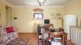 Toscana Immobiliare - Winery with accommodation business for sale in Valdichiana Arezzo Tuscany
