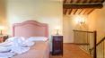 Toscana Immobiliare - Winery with accommodation business for sale in Valdichiana Arezzo Tuscany