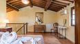 Toscana Immobiliare - Winery with accommodation business for sale in Valdichiana Arezzo Tuscany