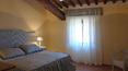Toscana Immobiliare - Winery with accommodation business for sale in Valdichiana Arezzo Tuscany