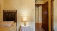 Toscana Immobiliare - Winery with accommodation business for sale in Valdichiana Arezzo Tuscany