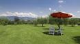 Toscana Immobiliare - Tuscan farmhouse with pool for sale in Cortona Arezzo