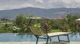 Toscana Immobiliare - Tuscan farmhouse with pool for sale in Cortona Arezzo