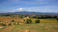 Toscana Immobiliare - Casale toscano con piscina ristrutturato in vendita a Cortona