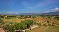 Toscana Immobiliare - Casale toscano con piscina ristrutturato in vendita a Cortona