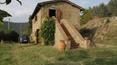 Toscana Immobiliare -