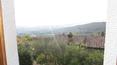 Toscana Immobiliare -