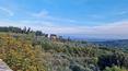 Toscana Immobiliare - Real estate complex for sale in Monte San Savino Tuscany