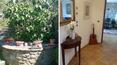 Toscana Immobiliare - Ville e casali in Toscana e Umbria