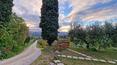 Toscana Immobiliare - Located close to the centre of Chiusi, the farmhouse combines the tranquillity of the countryside with the convenience of services