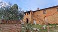 Toscana Immobiliare - Partially restored property with old farmhouse, 1 ha of land and panoramic views for sale in Tuscany
