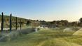 Toscana Immobiliare - Finca de lujo en venta en la provincia de Grosseto