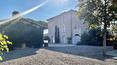 Toscana Immobiliare -  El terreno de 34 ha incluye viñedos, olivares, un pequeño lago, pista de tenis, campo de golf, prado para caballos e instalaciones agrícolas