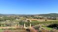 Toscana Immobiliare - The estate is immersed in the Tuscan countryside, dotted with vineyards and olive groves