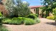Toscana Immobiliare - The complex comprises 5 main buildings and various annexes