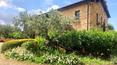 Toscana Immobiliare - La meravigliosa piscina con area solarium è perfetta per godere di alcuni momenti di relax all’interno di un paesaggio unico