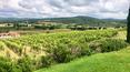 Toscana Immobiliare - Das Anwesen liegt inmitten der toskanischen Landschaft, umgeben von Weinbergen und Olivenhainen