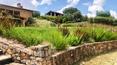 Toscana Immobiliare - La terrazza della villa gode di una vista panoramica sulla campagna toscana e sulla città di Massa Marittima